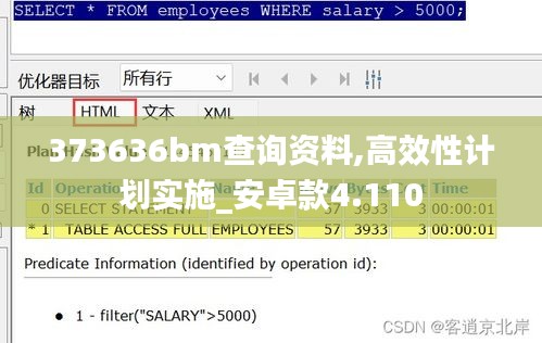 373636bm查询资料,高效性计划实施_安卓款4.110