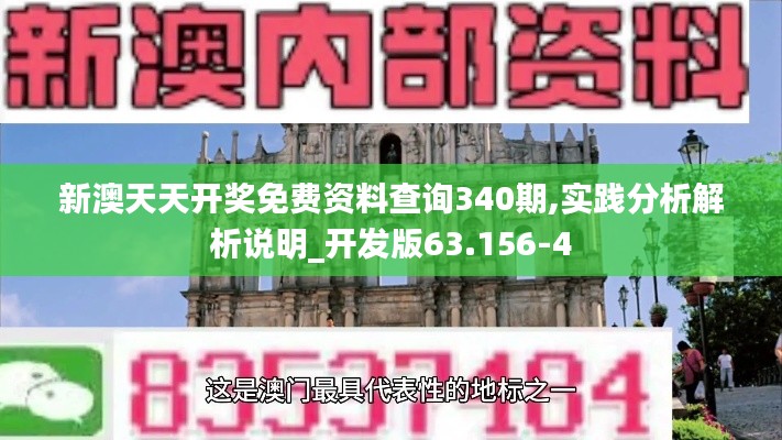 新澳天天开奖免费资料查询340期,实践分析解析说明_开发版63.156-4