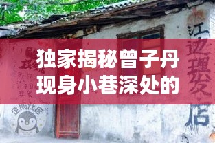 独家揭秘，曾子丹现身神秘小巷小店，12月4日惊喜探索之旅开启！