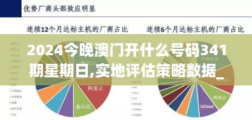 2024今晚澳门开什么号码341期星期日,实地评估策略数据_手游版16.231