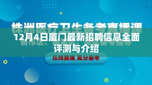 12月4日厦门最新招聘信息全解析与介绍