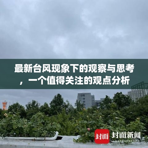 台风观察下的深度思考，最新现象与观点分析