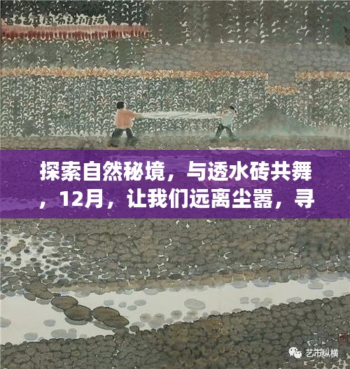 探索自然秘境，共舞透水砖，一场远离尘嚣的12月内心平静之旅