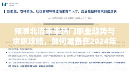 北流未来热门职业趋势预测与求职攻略，如何备战心仪工作于2024年12月4日成功落地计划