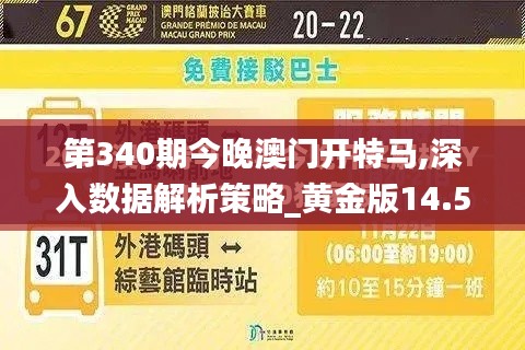 第340期今晚澳门开特马,深入数据解析策略_黄金版14.508