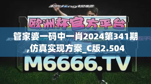 管家婆一码中一肖2024第341期,仿真实现方案_C版2.504