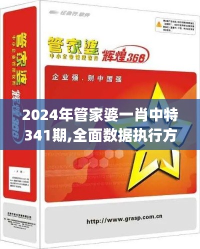 2024年管家婆一肖中特341期,全面数据执行方案_精英版9.785