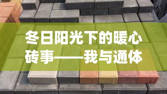 冬日阳光下的暖心砖事，我与通体型陶瓷透水砖的奇缘