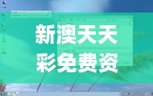 新澳天天彩免费资料2024老,实时数据解释定义_XP17.841