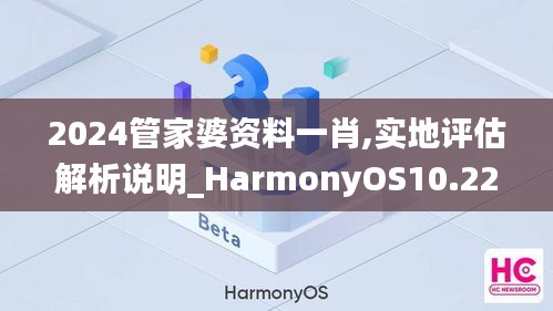 2024管家婆资料一肖,实地评估解析说明_HarmonyOS10.223