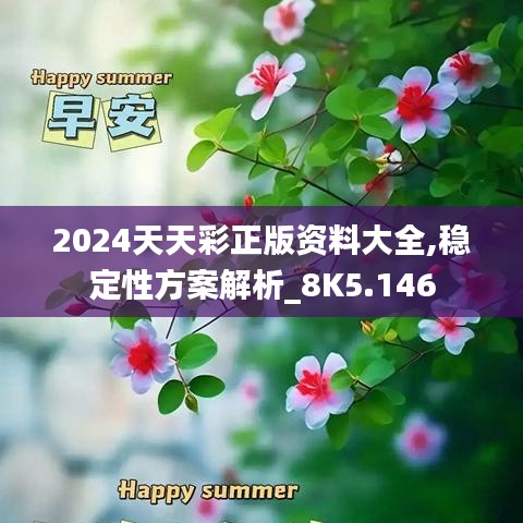 2024天天彩正版资料大全,稳定性方案解析_8K5.146