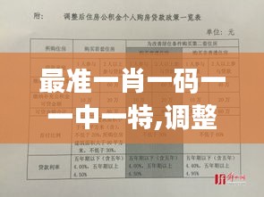 最准一肖一码一一中一特,调整计划执行细节_高级款10.494