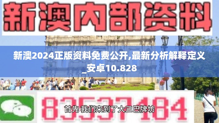 新澳2024正版资料免费公开,最新分析解释定义_安卓10.828