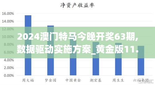 2024澳门特马今晚开奖63期,数据驱动实施方案_黄金版11.807