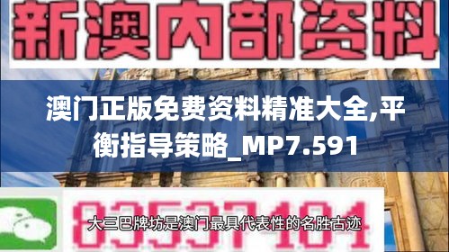 澳门正版免费资料精准大全,平衡指导策略_MP7.591