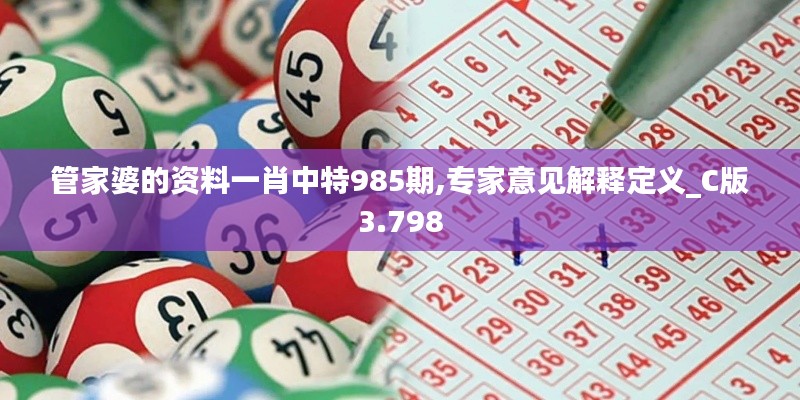 管家婆的资料一肖中特985期,专家意见解释定义_C版3.798