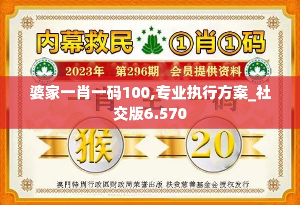 婆家一肖一码100,专业执行方案_社交版6.570