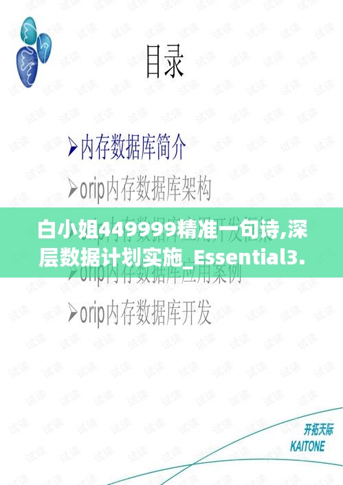 白小姐449999精准一句诗,深层数据计划实施_Essential3.479