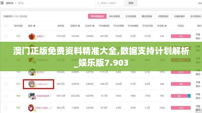 澳门正版免费资料精准大全,数据支持计划解析_娱乐版7.903