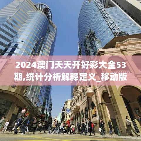 2024澳门天天开好彩大全53期,统计分析解释定义_移动版17.508