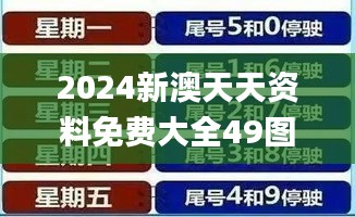 2024新澳天天资料免费大全49图,高速解析方案响应_苹果款3.226