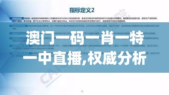 澳门一码一肖一特一中直播,权威分析解释定义_领航款4.839