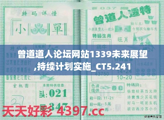 曾道道人论坛网站1339未来展望,持续计划实施_CT5.241