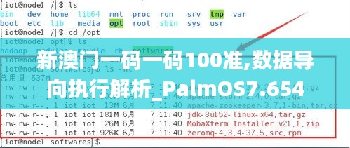 新澳门一码一码100准,数据导向执行解析_PalmOS7.654