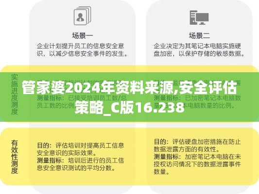 管家婆2024年资料来源,安全评估策略_C版16.238