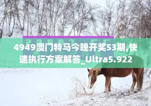 4949澳门特马今晚开奖53期,快速执行方案解答_Ultra5.922