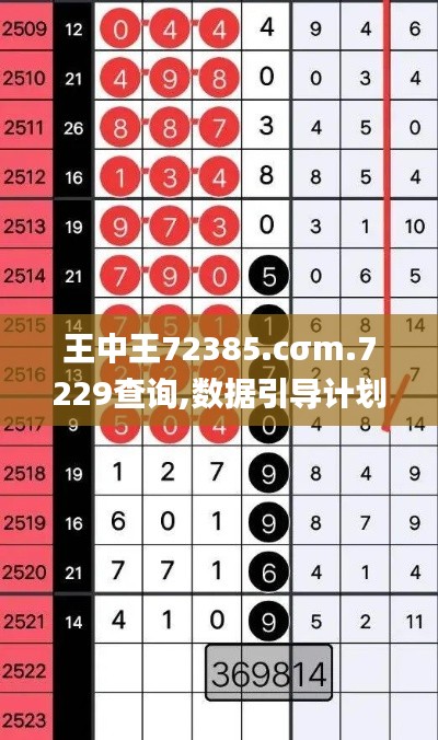 王中王72385.cσm.7229查询,数据引导计划设计_复刻版10.194