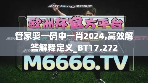 管家婆一码中一肖2024,高效解答解释定义_BT17.272