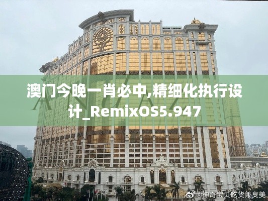 澳门今晚一肖必中,精细化执行设计_RemixOS5.947