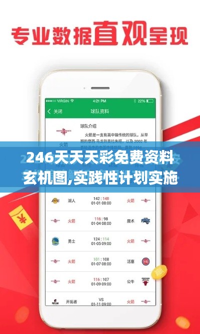 246天天天彩免费资料玄机图,实践性计划实施_Prime6.673