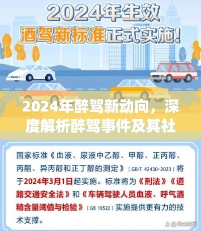 2024年醉驾新动向深度解析，事件与社会影响探究