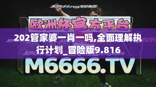 202管家婆一肖一吗,全面理解执行计划_冒险版9.816