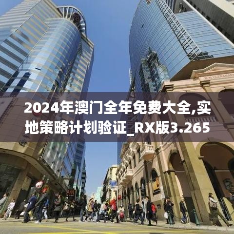 2024年澳门全年免费大全,实地策略计划验证_RX版3.265