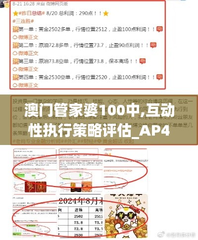 澳门管家婆100中,互动性执行策略评估_AP4.750