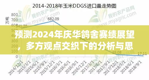 2024庆华鸽舍赛绩展望，多方观点交融的深度分析与思考