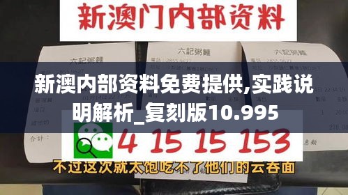 新澳内部资料免费提供,实践说明解析_复刻版10.995