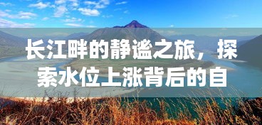 长江畔水位上涨背后的静谧自然探索之旅