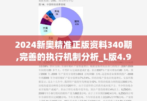 2024新奥精准正版资料340期,完善的执行机制分析_L版4.929