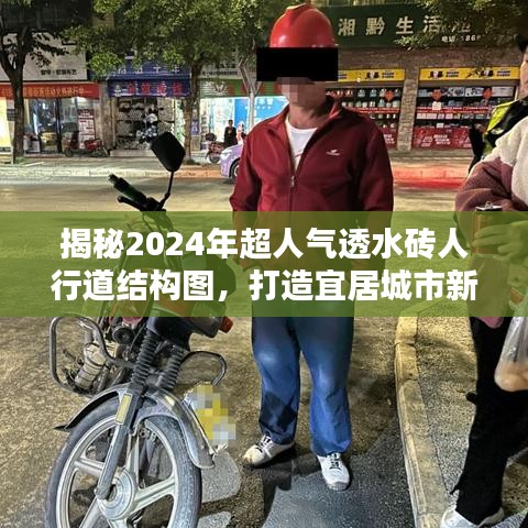 揭秘未来宜居城市关键，2024年超人气透水砖人行道结构图亮相！