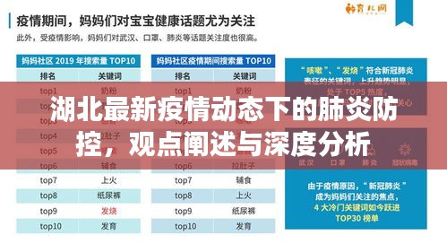 湖北最新疫情动态下的肺炎防控，观点深度解析与防控策略探讨