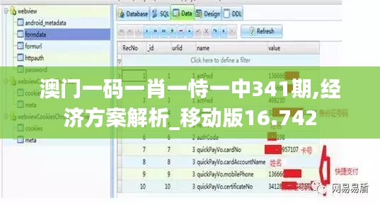 澳门一码一肖一恃一中341期,经济方案解析_移动版16.742