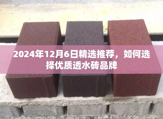 如何选择优质透水砖品牌，2024年精选推荐指南