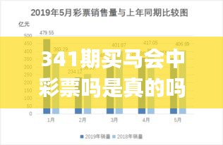 341期买马会中彩票吗是真的吗,全面执行数据方案_Pixel5.914