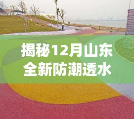 揭秘山东全新防潮透水广场砖，科技重塑户外空间，引领未来生活风尚