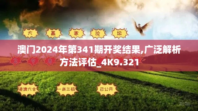 澳门2024年第341期开奖结果,广泛解析方法评估_4K9.321