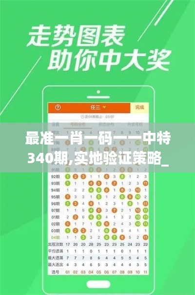 最准一肖一码一一中特340期,实地验证策略_战斗版4.779